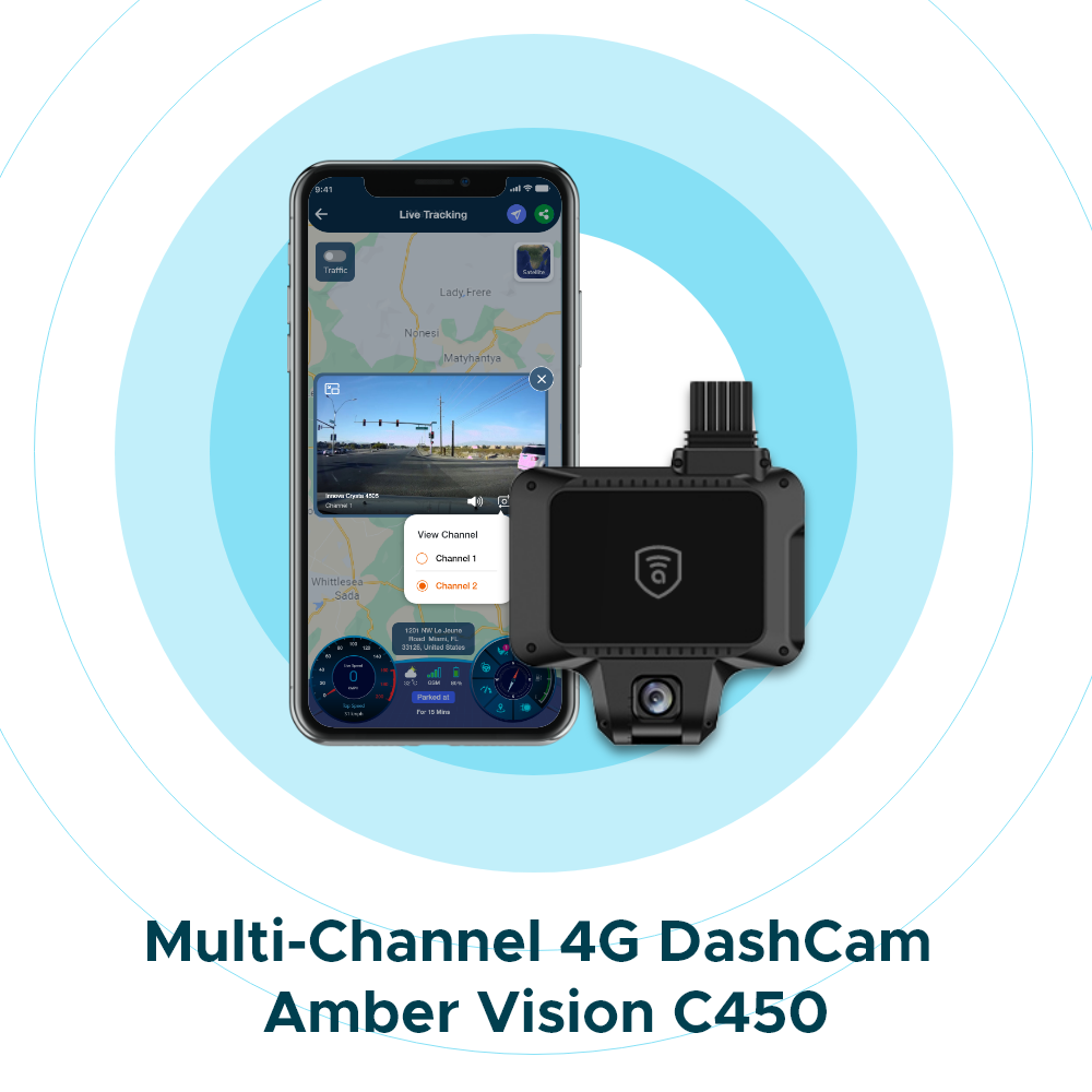 Amber Vision C450
                    